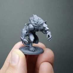 IMG_2021.jpg Fichier STL Loup-garou commun (2 variantes)・Design à télécharger et à imprimer en 3D