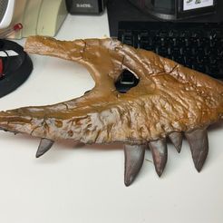 Tyrannosaurus Maxilla