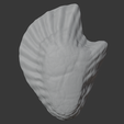 oyster-shell-vol.-11-image-4.png Oyster Shell (Volume 11)