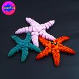 k.jpg PRINT IN PLACE CUTE FLEXI STARFISH