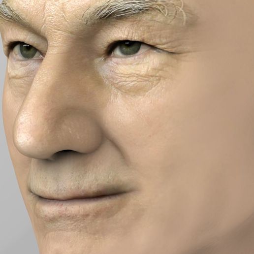 professor-x-charles-xavier-bust-ready-for-full-color-3d-printing-3d-model-obj-mtl-fbx-stl-wrl-wrz-1.jpg Professor X Charles Xavier from X-Men bust full color 3D printing