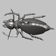 CHAUVAL2.png Insect, wasp STL, OBJ