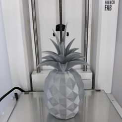 20180924-Impression_3D-Ananas (6).jpg Ananas