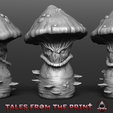 Myconid-4-zbrush-4k-by-tales-from-the-print.png Mushroom - Myconid - Bust One part and multipart versions HIGH QUALITY by Tales From The Print
