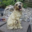 Labrador_with_puppy_1.jpg Labrador With Puppy (Dog Statue 3D Scan)