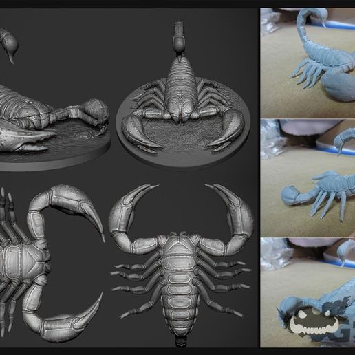 Scorpion 3D Print Model 3D model