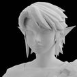 11.jpg Zelda Farmer Link Twilight Princess Nintendo