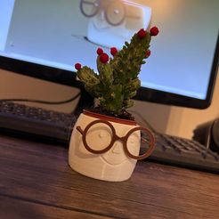 Cactus-pot.jpg Cactus vase