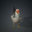 5F.jpg HEN - DOWNLOAD CHICKEN 3d Model - animated for Blender-Fbx-Unity-Maya-Unreal-C4d-3ds Max - 3D Printing HEN HEN CHICKEN CHICKEN POKÉMON - BIRD - GARDEN