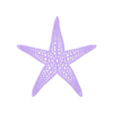 Starfish.stl Starfish Wall Art