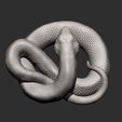 hognose-snakes7.jpg Hognose snakes 3D print model