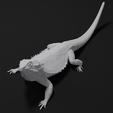 untitled2.png Bearded Dragon Realistic Lizard
