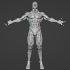 Captura-de-pantalla-2022-05-11-120008.jpg Fichier STL Modèle de corps humain masculin : Modèle de corps humain masculin・Objet imprimable en 3D à télécharger, Robinsiyo
