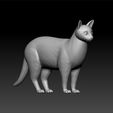 cat1.jpg Cat- cat 3d model Realistic - cat game 3d model