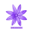euroreprap_flower-aster_a (1).stl flowers: Aster - 3D printable model