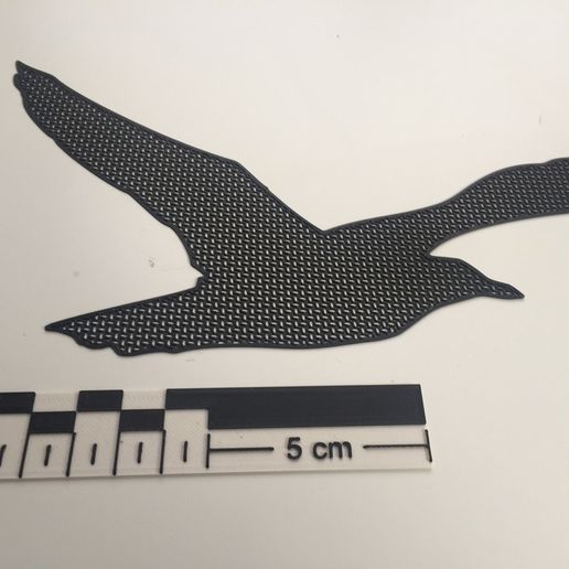 2022-05-31_08.03.52.jpg Window Decal Birds Collection