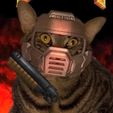 IMG_3376.jpeg Doom Marine Cat Helmet 🔥🔥