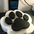 IMG_9806.jpg Paw night lamp