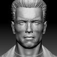 ZBrush-Document00.jpg 3D PRINTABLE COLLECTION BUSTS 9 CHARACTERS 12 MODELS