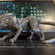 Displayed.jpg XenoCat – Biomechanical Alien Cat