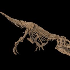 untitled.68.jpg Fichier OBJ Squelette de Tyrannosaurus T-rex・Plan pour impression 3D à télécharger, 1836152