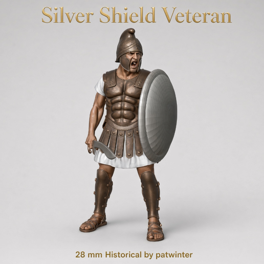 Silver Shield Veteran