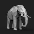 1.6.jpg Elephant