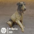 figura-perro-escaner-3d-2.jpg 3D Scanner Dog Figure / Asset Dog Figure