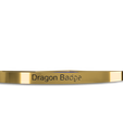 IMG_1185.png Dragon Badge Galar Raihan Pokemon