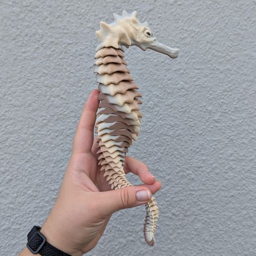 flexi-seahorse.jpeg FLEXI SKELTON SEAHORSE