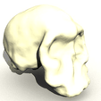 Capture d’écran 2018-05-14 à 14.31.01.png Homo Habilis Skull
