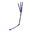 L-Leg_v1.stl Pteranodon Skeleton