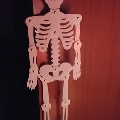 20181021_000643.jpg Free 3D file Skeleton 2D・3D print object to download, workale