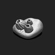 04_sea-stone-with-barnacles-3d-print-aquarium-3d-model-obj-fbx-stl.jpg Sea Stone with Barnacles - 3D Print - Aquarium - Sea Life
