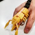 210517035_10159212752938905_1900076404246809138_n.jpg Free STL file articulated finger scorpion・Template to download and 3D print