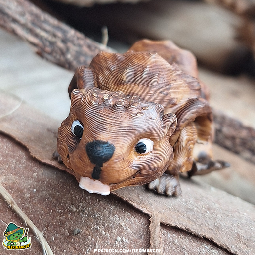 1.png Beaver | Flexi print-in-place | Multicolore