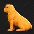 2971-Bulldog_Pose_06.jpg Bulldog Dog 3D Print Model Pose 06