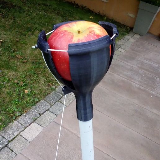 Cueille pomme Citron (The original) - 3D model önizlemesi