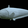 Catfish-Europe-6.png FISH WELS CATFISH / SILURUS GLANIS solo model detailed texture for 3d printing