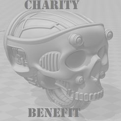 Reaver-Skull3-Charity.jpg Download STL file Titan Skull Head Three For Charity • 3D printer object, johnbearross