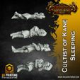 Cultists-of-Kane-Sleeping-D-min.jpg Cultists Bundle - Set of 17 (32mm scale, Pre-supported miniatures)