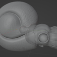 赤ちゃんアンモナイトblender.png Baby ammonite [Prehistoric planet 2]