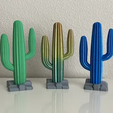 3.png Saguaro Cactus with Rocky Base