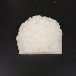 Coral-1.jpg 3D Scanned Corals