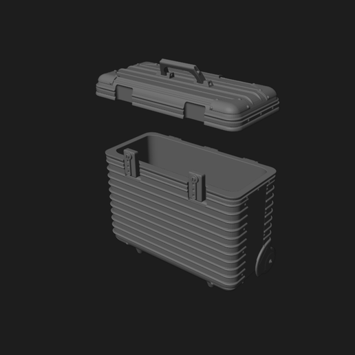 Captura-de-pantalla-2025-04-17-120933.png RWB LUGGAGE
