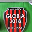 20230423_134419.jpg Logo Gloria Bistrita 2018