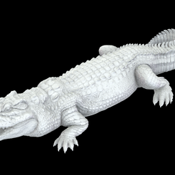 Screenshot-2023-10-20-104747.png Colgante Cocodrile