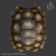Untitled19_20250617150754.png Tortoise Shell Hide