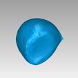 f.jpg chestnut 栗　HIGH QUALITY 3D 　SCAN　fruit　SCANNER:ATOS