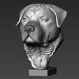01.jpg Rottweiler Head Sculpture